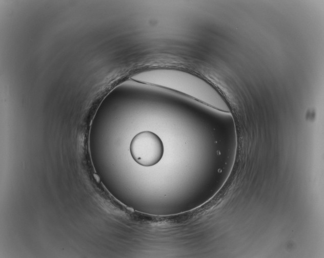 X0000094330309200711091411