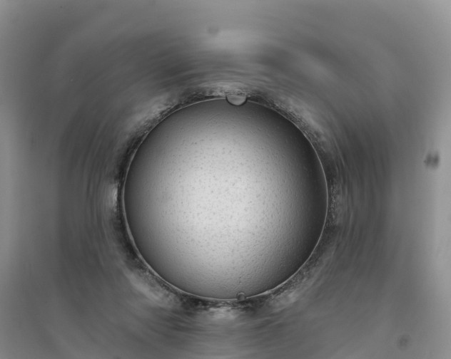 X0000094330310200711091411