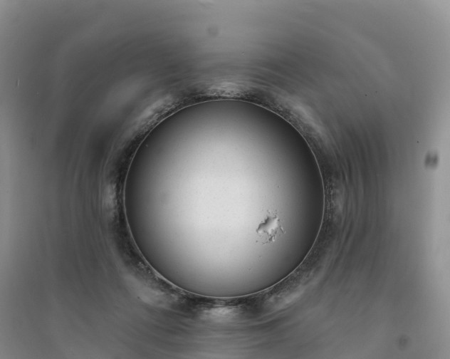 X0000094330312200711091411