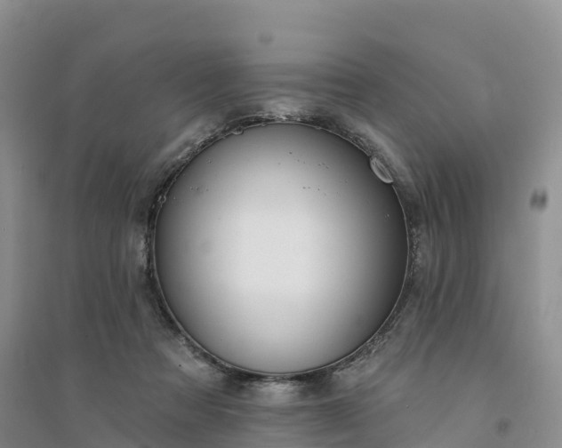 X0000094330313200711091411
