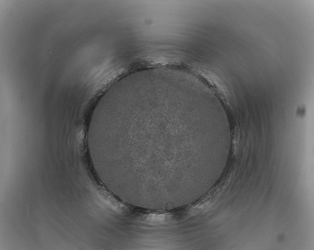 X0000094330314200711091411