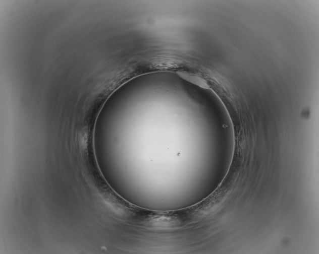 X0000094330315200711091411
