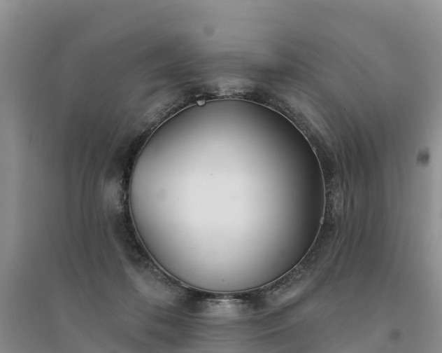 X0000094330316200711091411