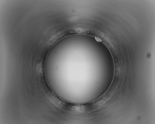 X0000094330317200711091411