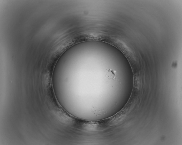 X0000094330318200711091411