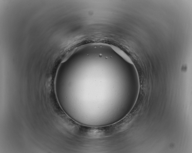 X0000094330319200711091411