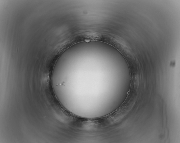 X0000094330320200711091411