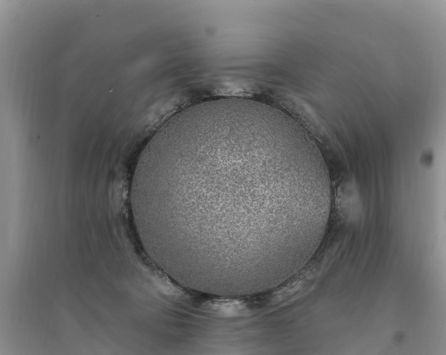 X0000094330322200711091411