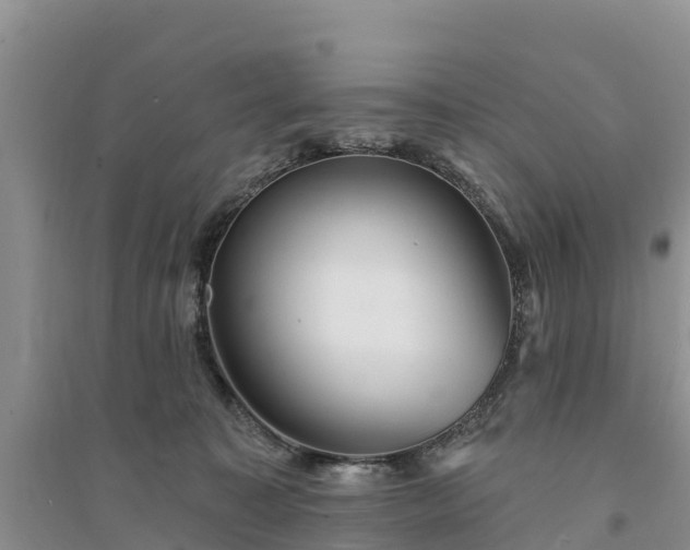 X0000094330323200711091411