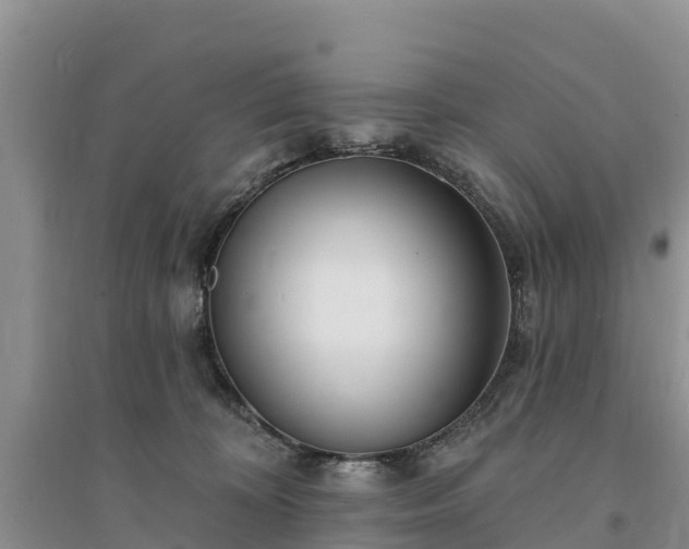 X0000094330324200711091411