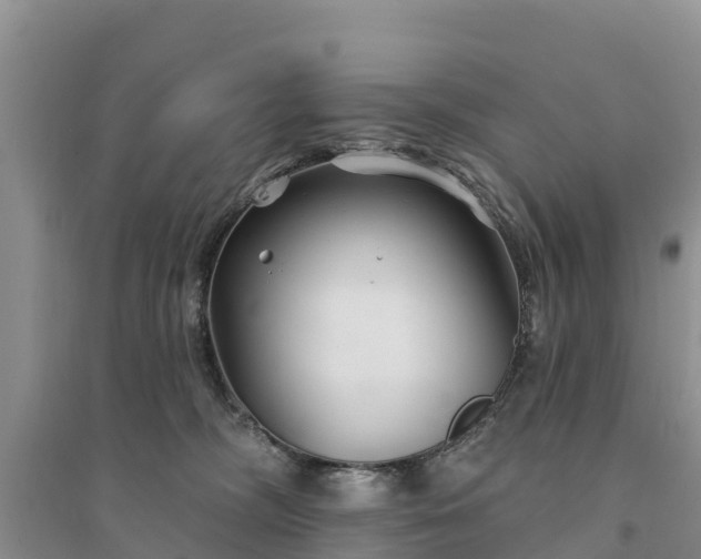 X0000094330326200711091411
