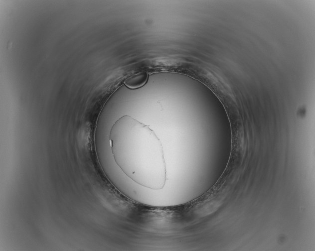 X0000094330328200711091411