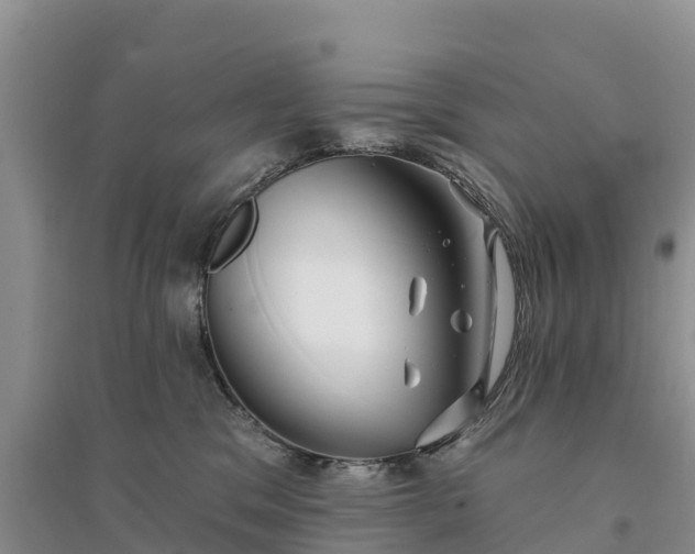 X0000094330329200711091411