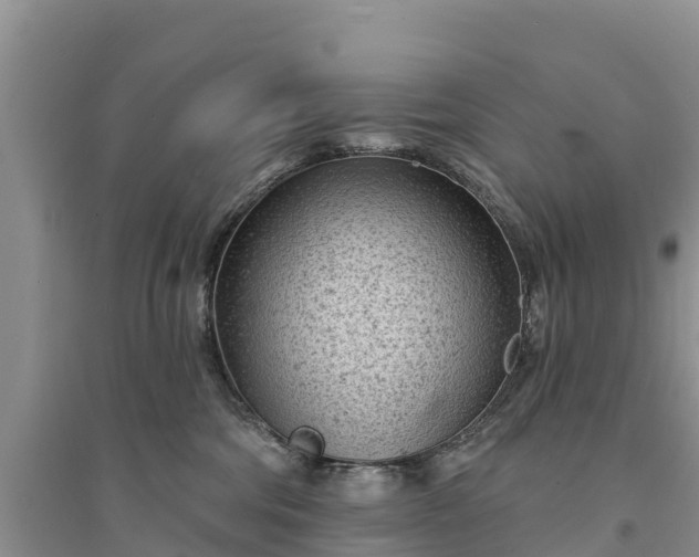 X0000094330330200711091411