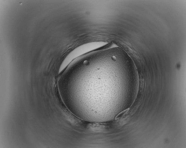 X0000094330331200711091411