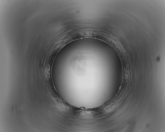 X0000094330332200711091411