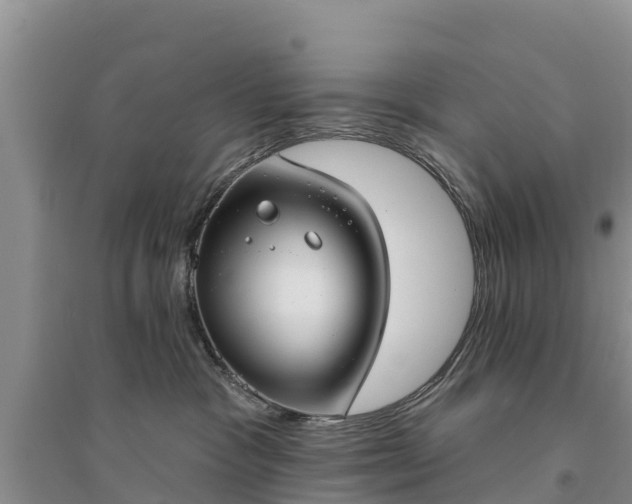 X0000094330333200711091411