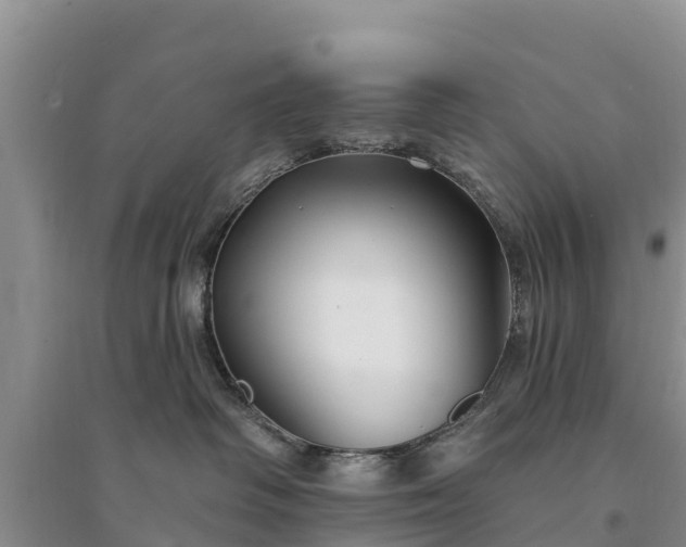 X0000094330334200711091411