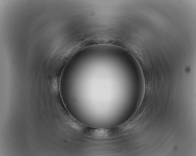 X0000094330335200711091411