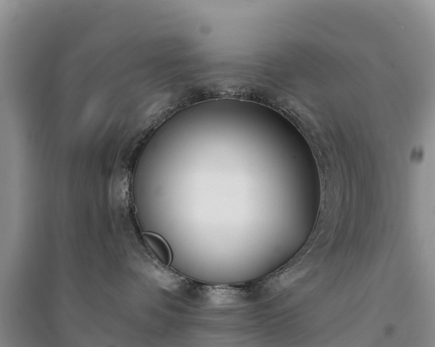 X0000094330336200711091411