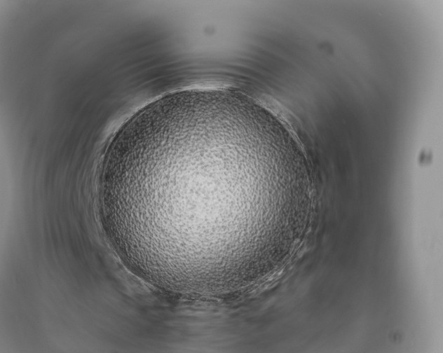 X0000094330337200711091410
