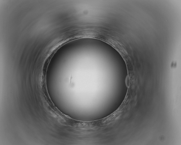 X0000094330338200711091410