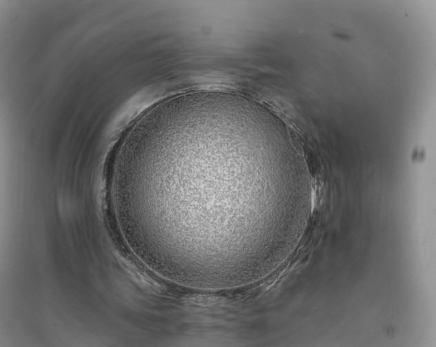 X0000094330339200711091410