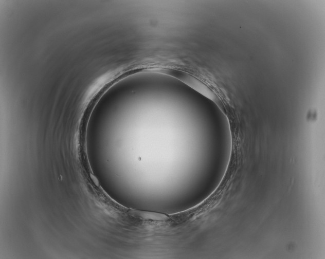 X0000094330340200711091410