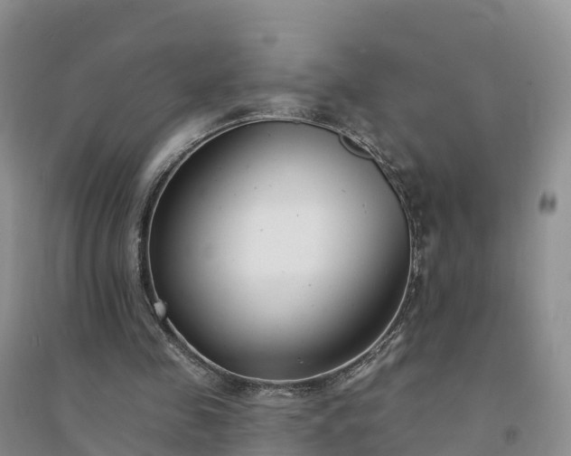 X0000094330341200711091410