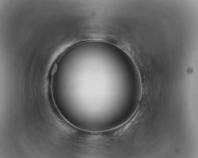X0000094330342200711091410