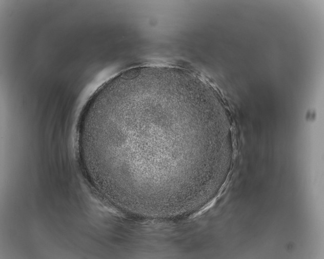 X0000094330343200711091410