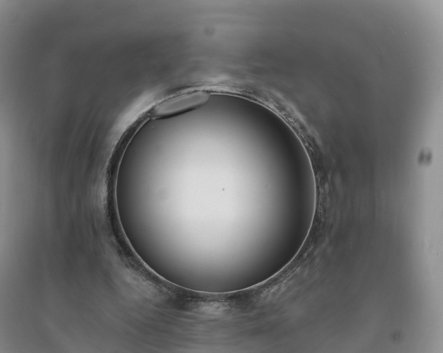 X0000094330344200711091410
