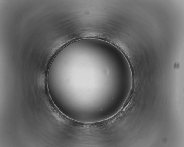X0000094330345200711091411