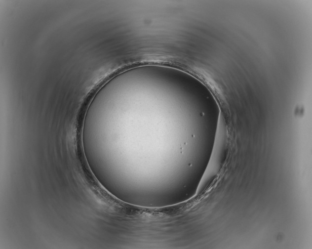 X0000094330346200711091411