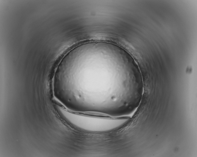 X0000094330347200711091411