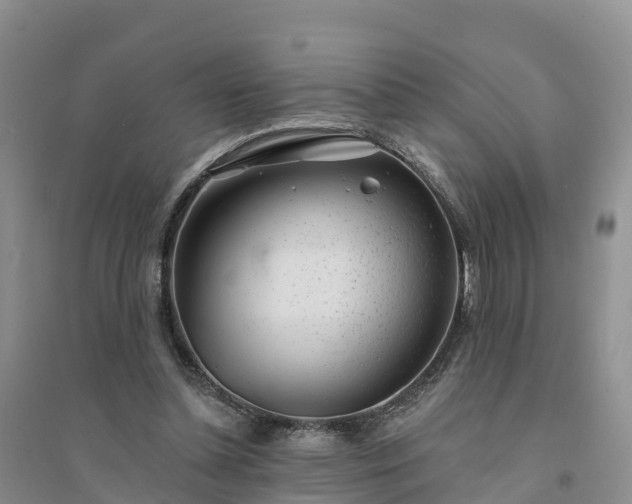 X0000094330348200711091411