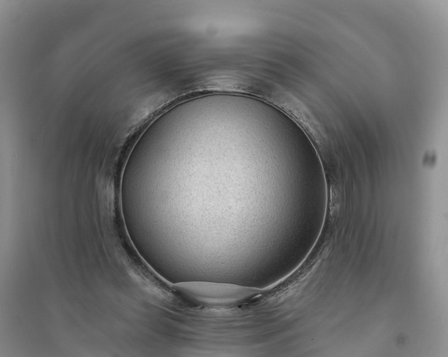 X0000094330349200711091411