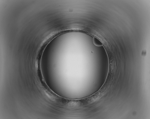 X0000094330350200711091411