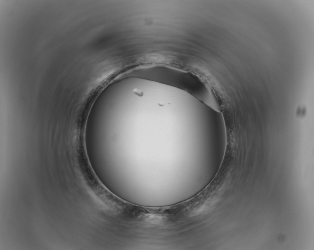X0000094330352200711091411