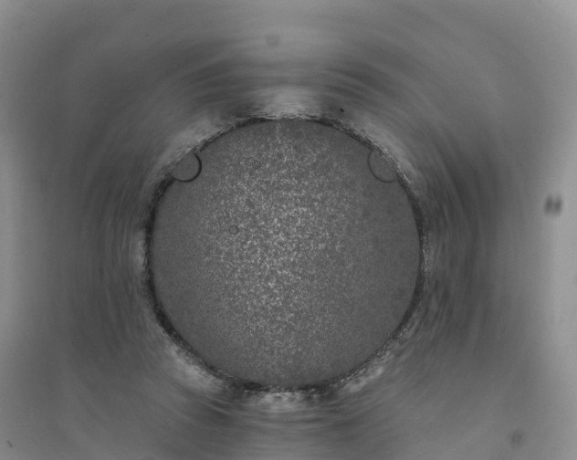 X0000094330353200711091411