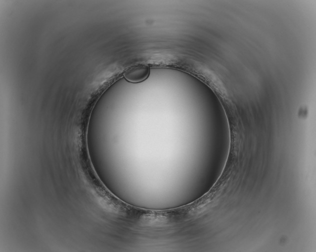X0000094330354200711091411