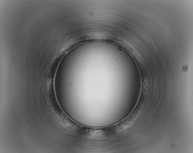 X0000094330355200711091411