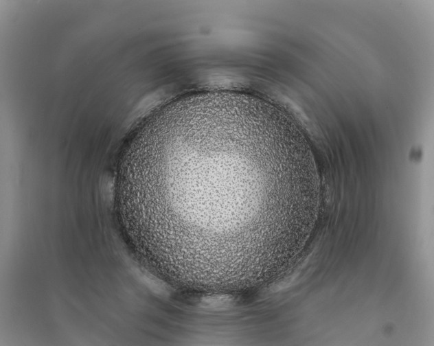 X0000094330357200711091411
