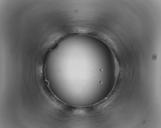 X0000094330358200711091411