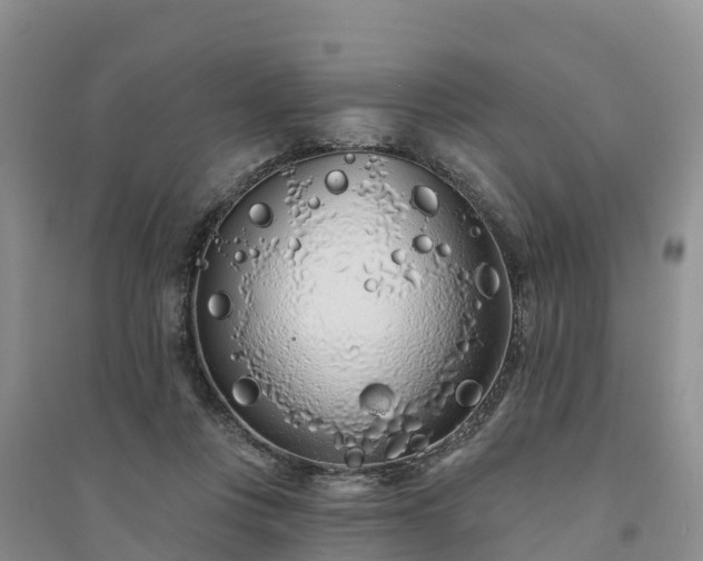 X0000094330359200711091411