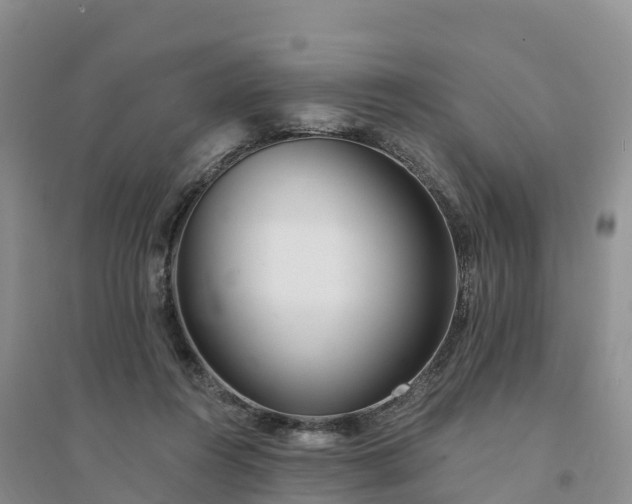 X0000094330360200711091411