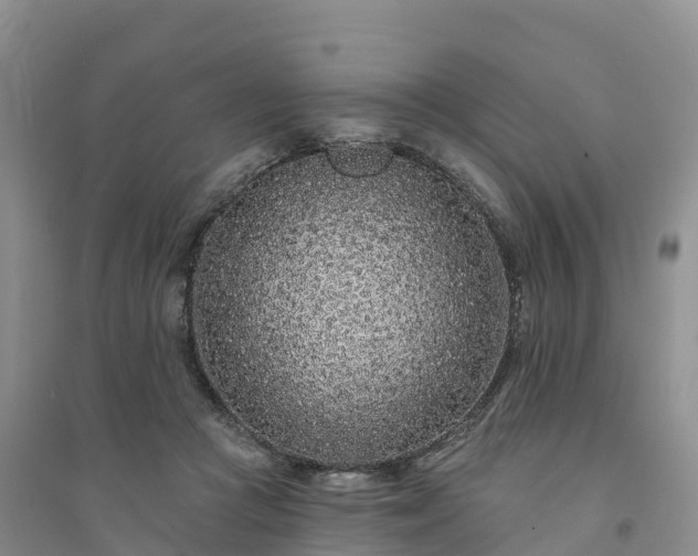 X0000094330361200711091411