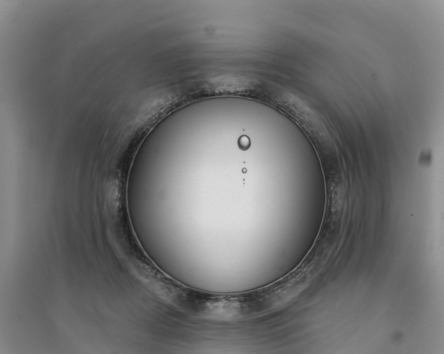 X0000094330362200711091411