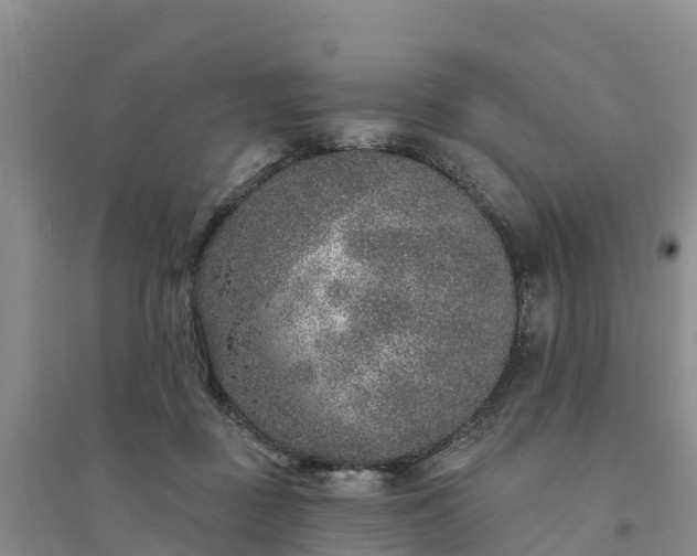 X0000094330363200711091411