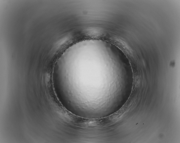 X0000094330365200711091411
